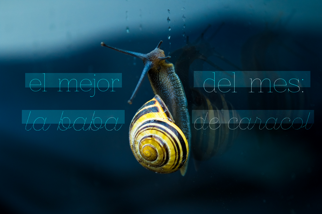 El Mejor del Mes: La Baba de Caracol