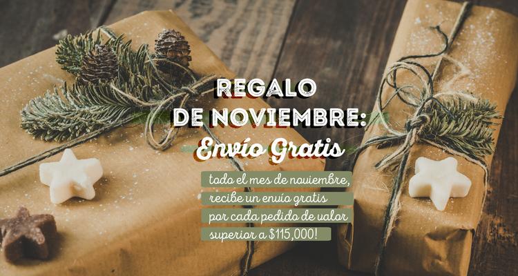 Regalo de Noviembre: Envío Gratis!