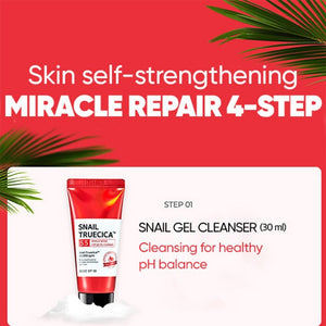 Snail Truecica Miracle Repair Starter Kit