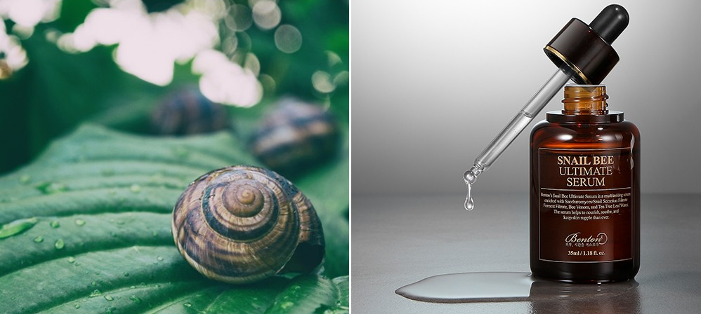 Suero de Baba de Caracol y Veneno de Abeja - Snail Bee Ultimate Serum 💥